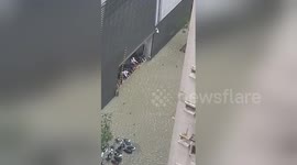 Newsflare Edit - Typhoon T9, destruction at Altira Hotel