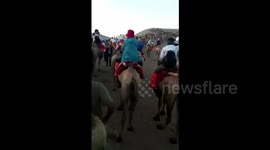 Tourists stranded in 'camel jam' in Chinese mountain