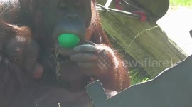 When you try all the different apples at the supermarket