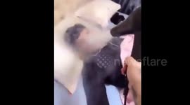 Wife fed up with husband smoking uses hairdryer to blast him with smoke