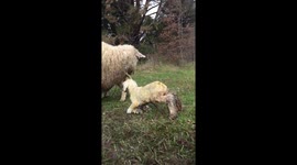 Winter birth