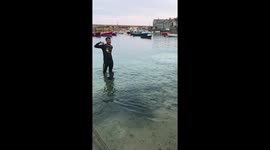 Mousehole Harbour teeming with tiny fish
