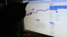 Cat attacks AI