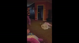 Dog hates blankets