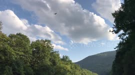 Bald Eagle Fishing