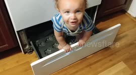 Baby decides to help cook