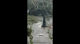 Typhoon Hato T9, the aftermath 2
