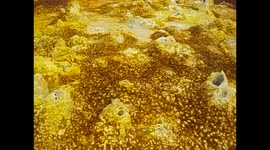 Ethiopia. Danakil Depression tour (10) Dallol- 116m. Sulphur deposit sound. 2016