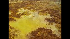 Ethiopia. Danakil Depression tour (14) Dallol -116m. Sulphur geyser sound and views. 2016