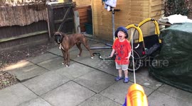 Toddler and dog enjoying the water pistol