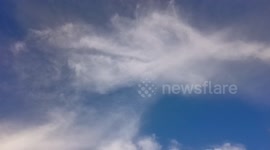 Animal Image in Cloud.