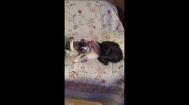 Mother and son
