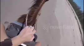 Horse back riding