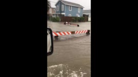 Galveston flooded during Harvey
