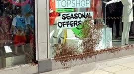 Swarm of bees at Topshop, Victoria