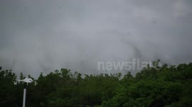 Fly Swarms Over Lough Neagh