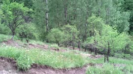 Landslides Zenica, Bosnia and Herzegovina 16.5.2014