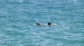 Harrowing rescue of a swimmer-Rescate angustioso de un bañista