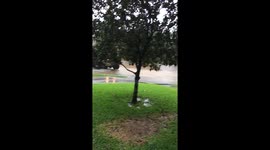 High Water Vehicle