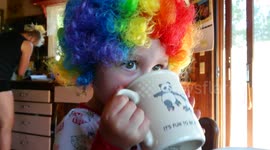 Super-Short FUNNY Video of Toddler in a Clown Wig Drinking Hot Chocolate