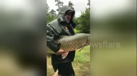 Men rescue carp stranded after Hurricane Harvey