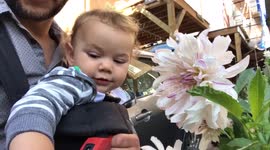 Baby smelling flowers for the first time
