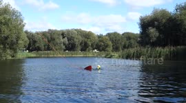 Can you guess what happens when a pro and a beginner surf together on a wakeboard?