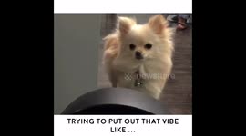 Too sexy for my shirt