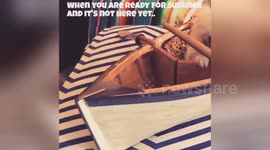 Newsflare Edit - Summer time blues