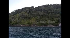 Malawi. Nkhata Bay. Malawi lake (9) Águila pescadora pillando un pez. Eagle fish catch. 2016