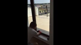 Save and Release a trapped Red Common Falcon / Kestrel PART 1