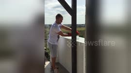 Newsflare Edit - Save and Release a trapped Red Common Falcon / Kestrel PART 2