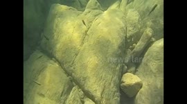 Malawi. Nkhata Bay. Malawi lake (20) Underwater video colorful fishes. 2016