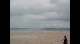 Mozambique. Bazaruto. Isla Magaruque (2) Running frightening birds. 2016