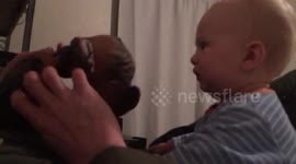Baby is terrified by Chewbacca mask