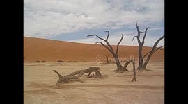 Namibia. Sossusvlei (9) Desert views inside Dead Vlei. 2016