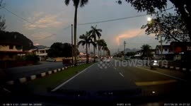 Distracted driver crashes into a tree