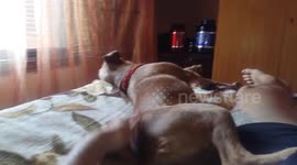 This is how I wake up every morning  (