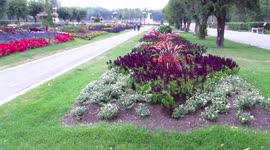 Scenes from the Smokey City of Regina today