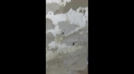 Woman screaming with terror at the sight of two tiny spider