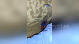 Newsflare Edit - Woman screaming with terror at the sight of two tiny spider
