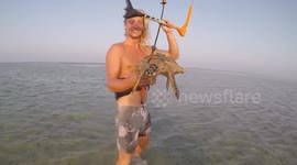 Kitesurfer rescues stricken sea turtle