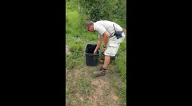 Release of 68 Southern African Python babies