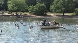 UK Weather: Baking hot family boating at Hollow pond