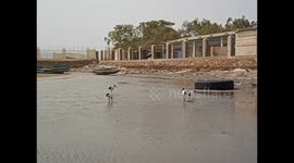 Somaliland. Berbera (1) Harbour, low tide, birds running. 2016