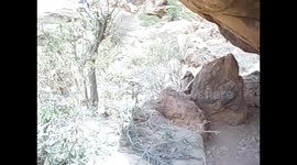 Somalia. Somaliland. Las Geel (3) Prehistoric Rock paintings. Pinturas prehistóricas. Narrado. 2016