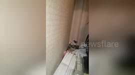 Newsflare Edit - Sauvetage  d un chaton  coincé  depuis  3 jours