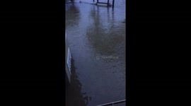 Harvey Flood Cypresswood 2017