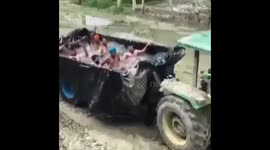 Swimming Pool At The Back Of A Truck|People Dancing, Enjoying And Having Fun