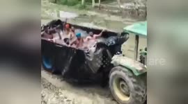 Newsflare Edit - Swimming Pool At The Back Of A Truck|People Dancing, Enjoying And Having Fun